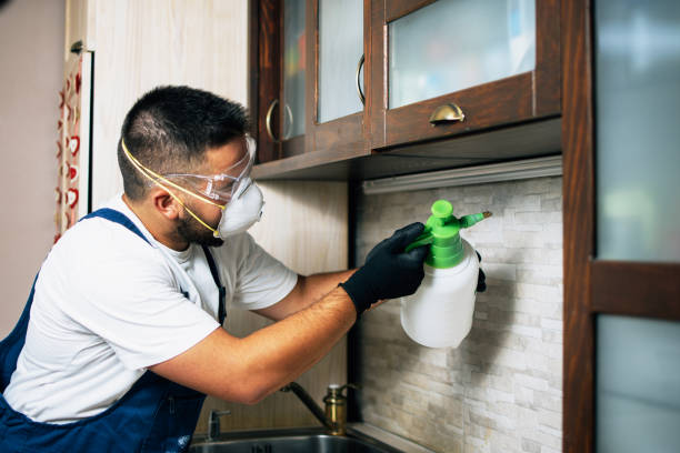 Best Pest Control for Homes  in Rkside, PA