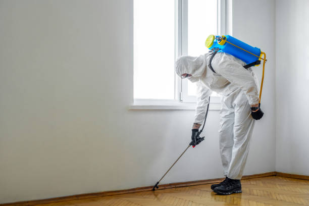 Best Affordable Pest Control Services  in Rkside, PA