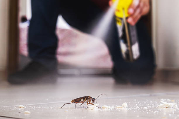 Best Pest Control Near Me in Parkside, PA